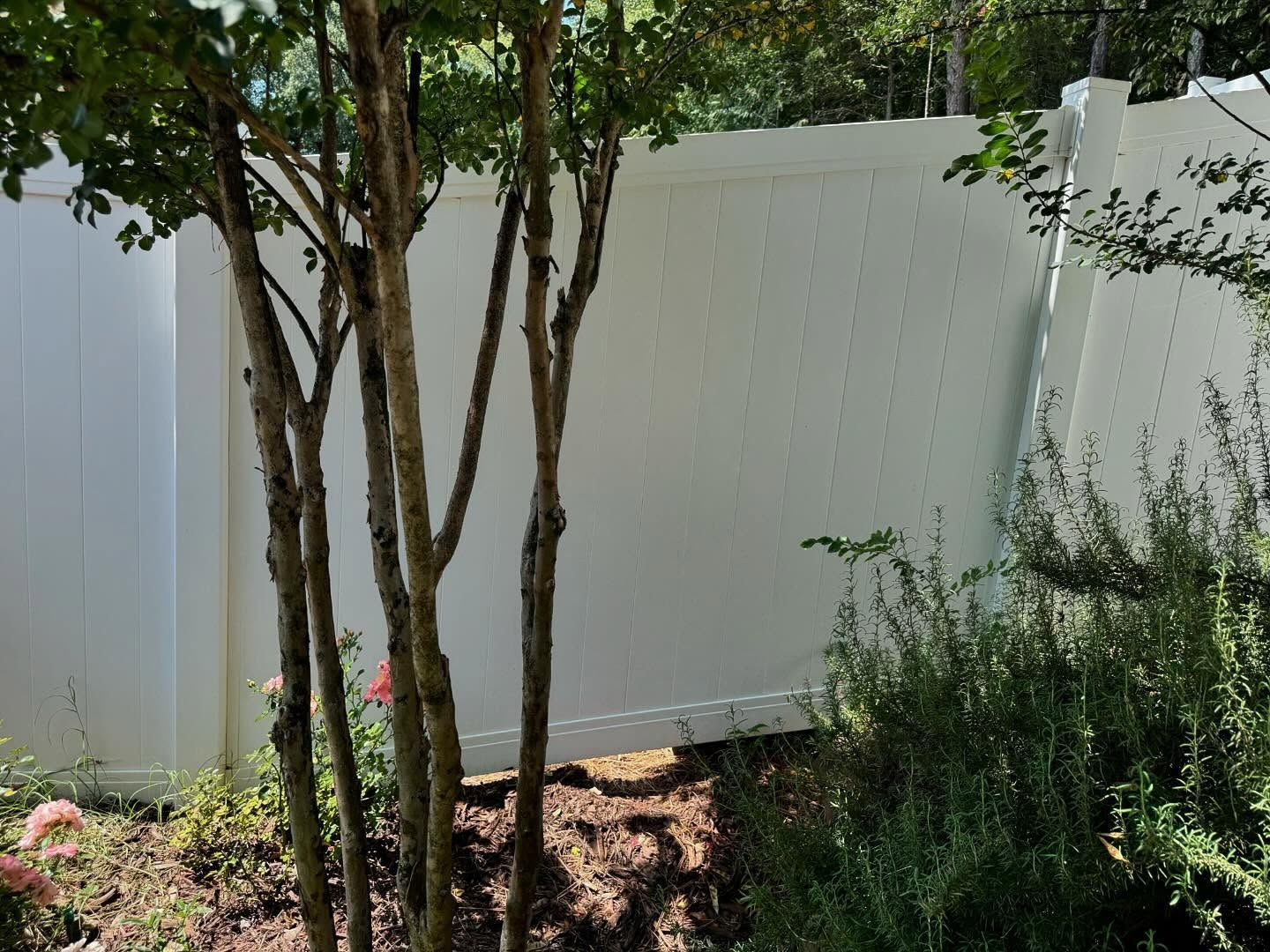 White vinyl fence in a yard with trees and foliage.