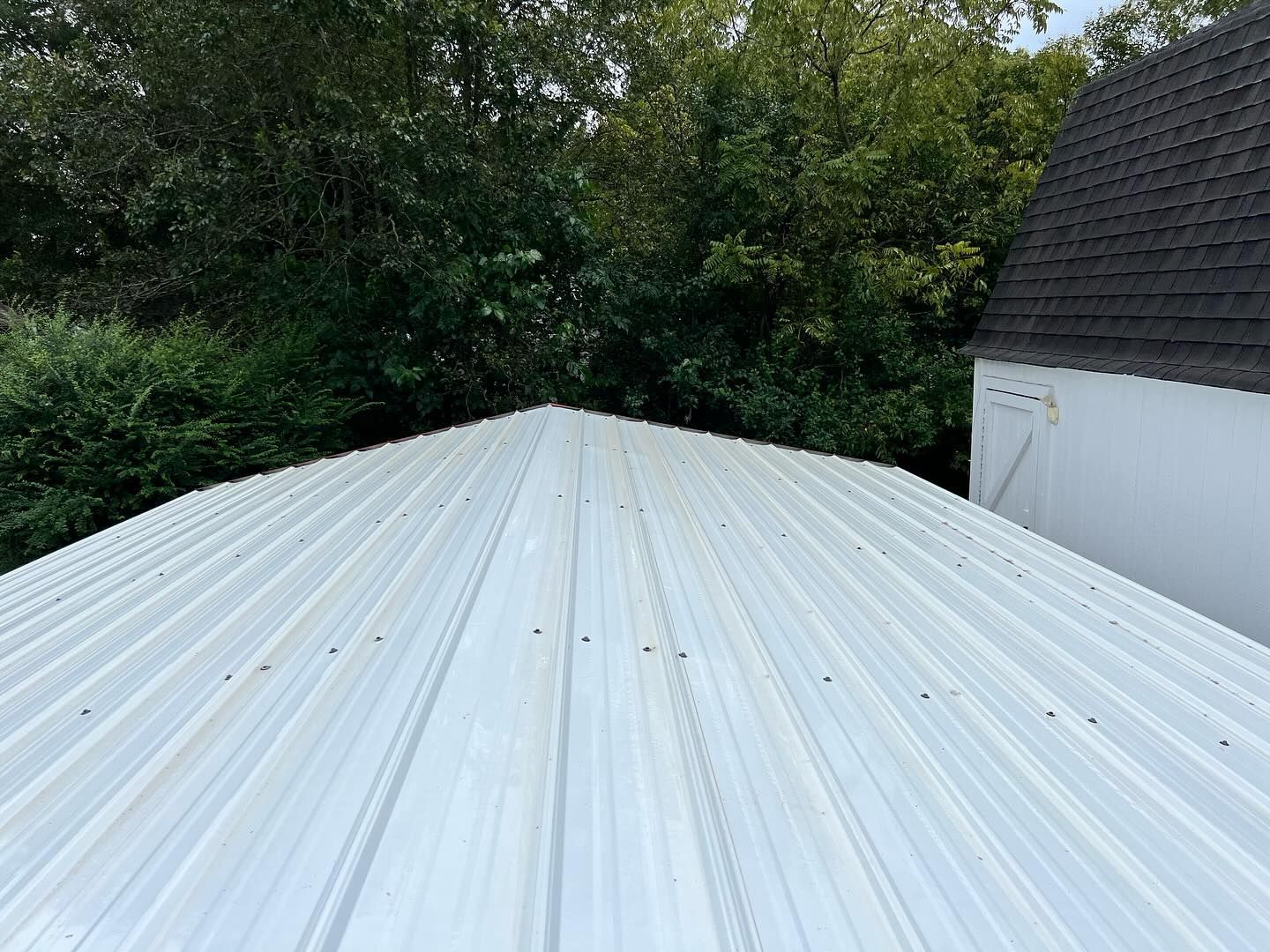 White metal roof with a pointed top, trees and a white shed in the background.