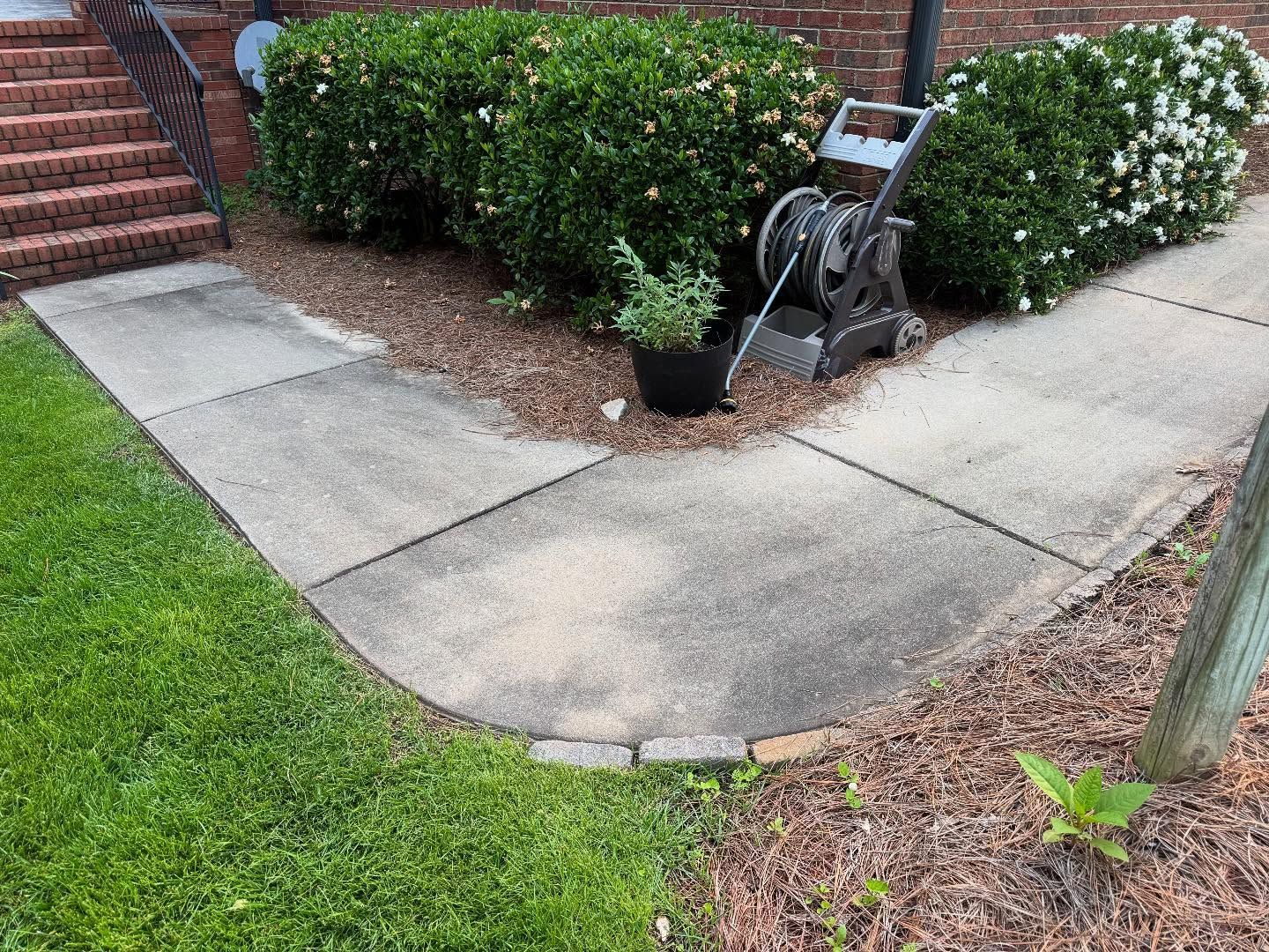 A concrete walkway curves around a flower bed with green bushes. A hose reel and potted plant sit nearby.
