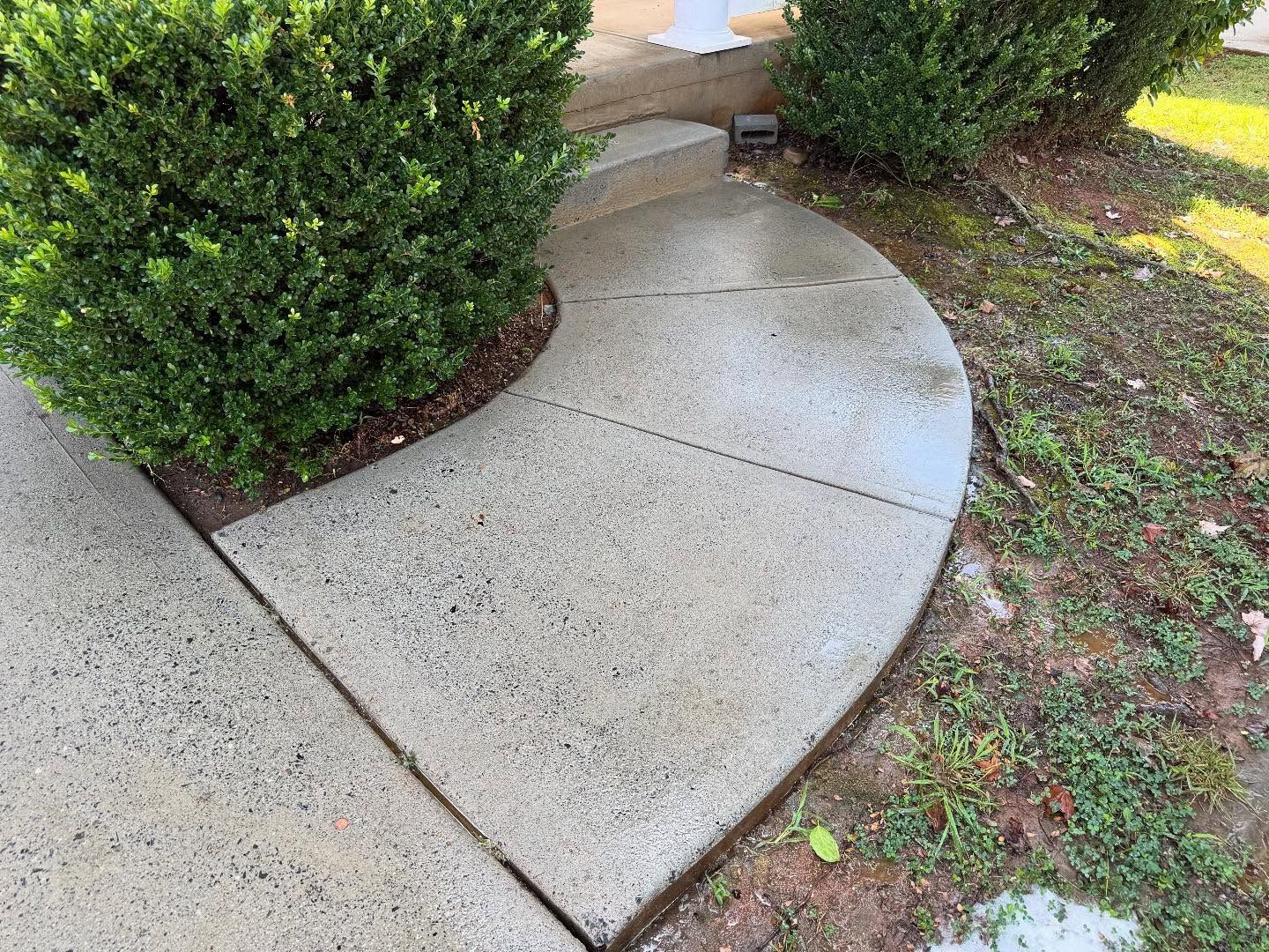 Curved concrete walkway with textured finish, bordered by shrubs and grass in an outdoor setting.