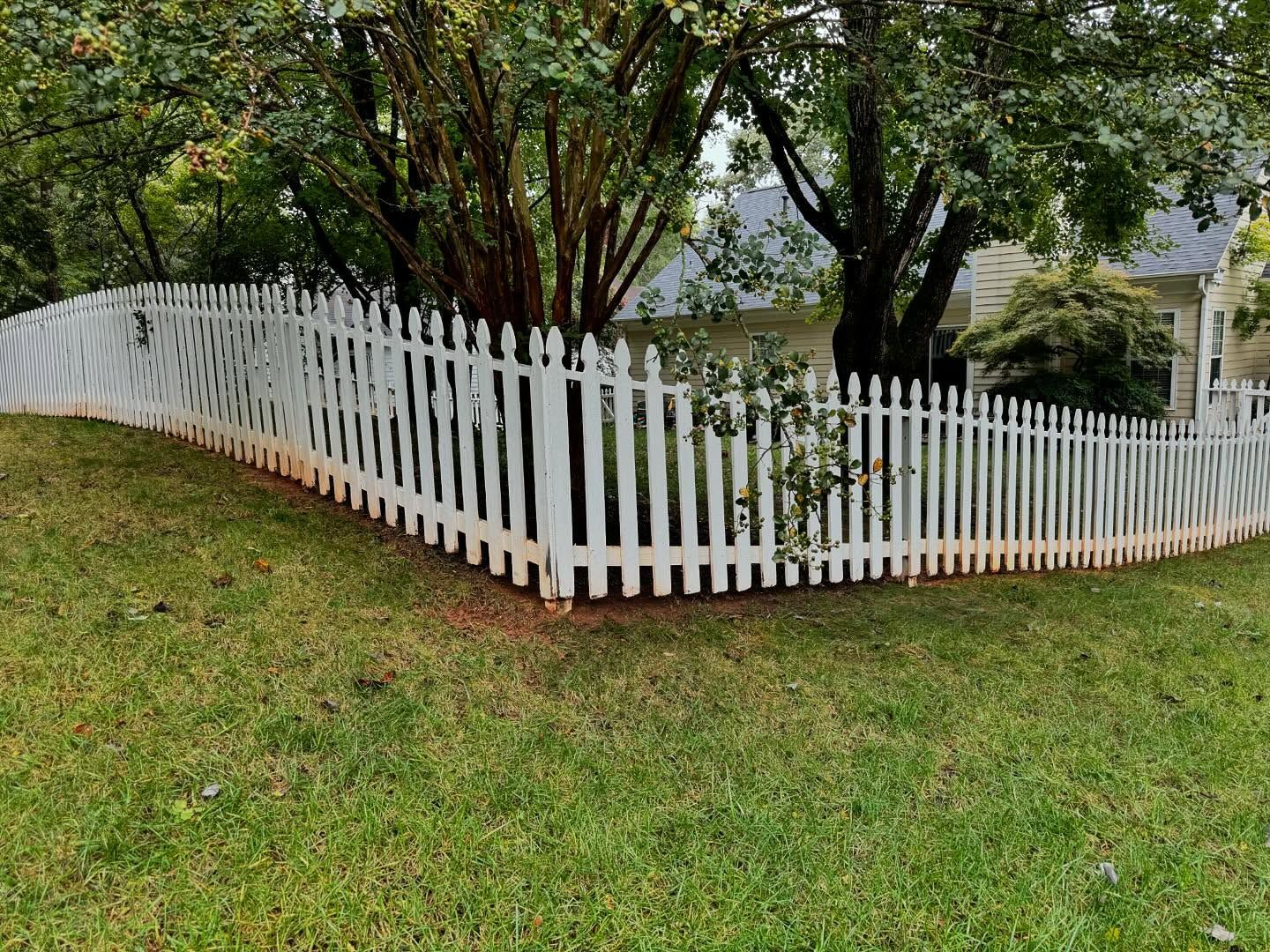 White picket fence curving along a grassy yard, trees and part of a house in the background.