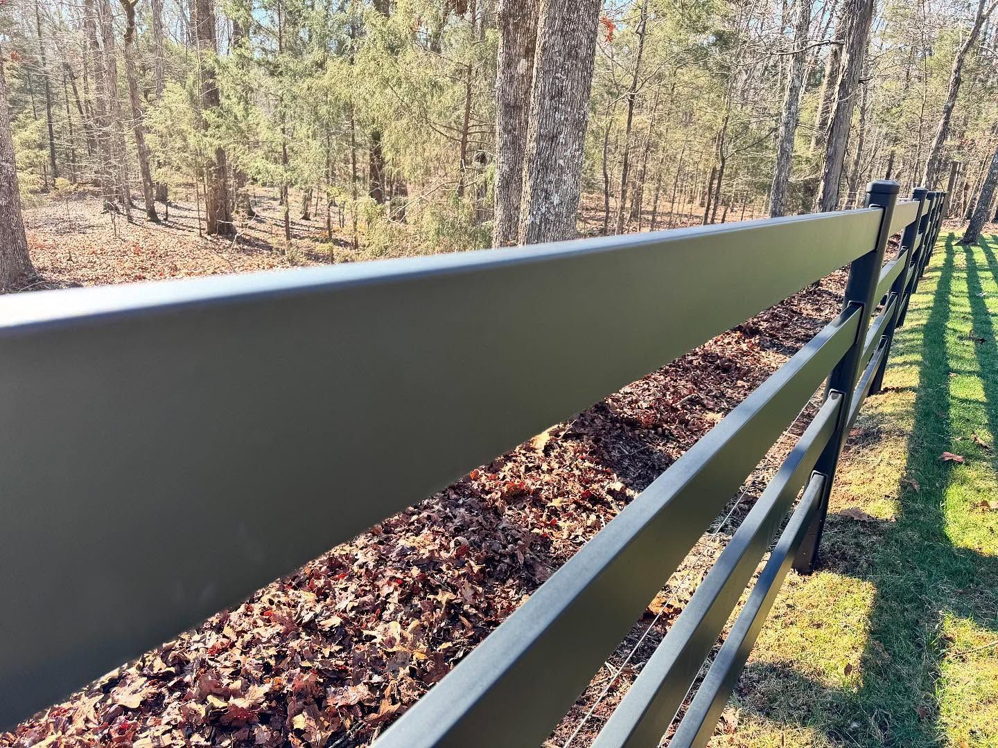 Black fence in a wooded area with fallen leaves on the ground and sunlight filtering through the trees.