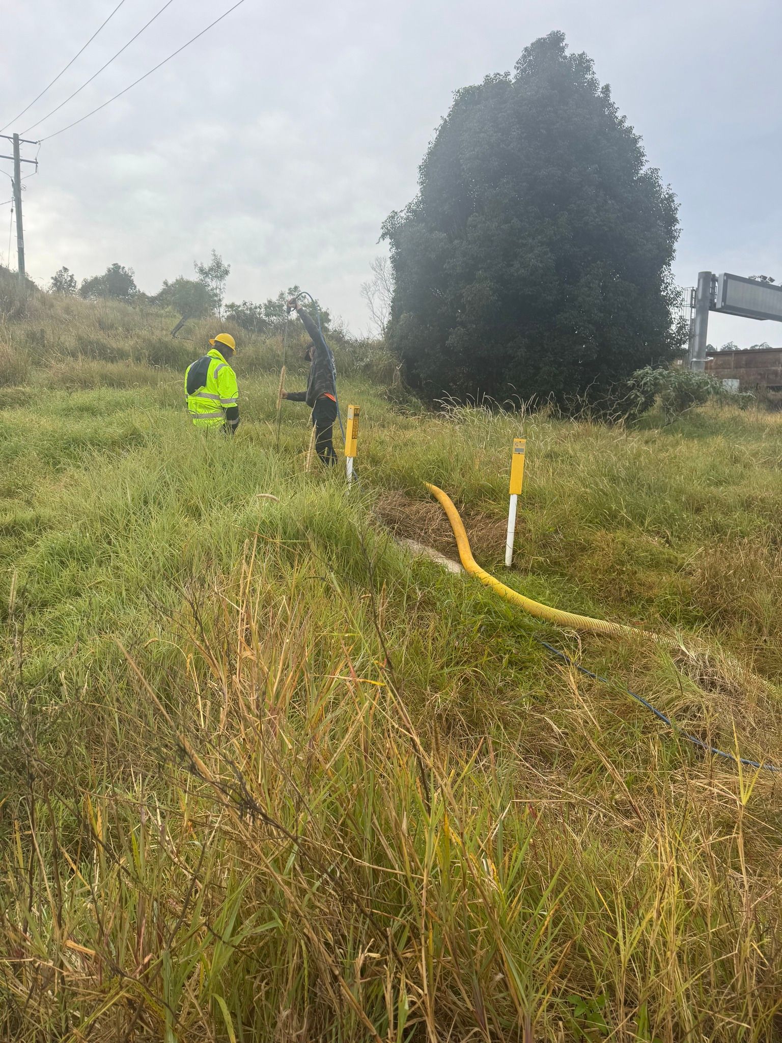 Two Workers in High-vis Vests, With Equipment, by a Grassy Area With Yellow Pipes, Near a Tree  