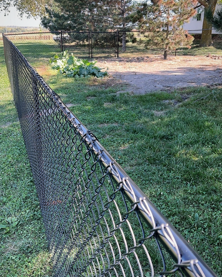 A chain link fence is sitting in the middle of a lush green field.