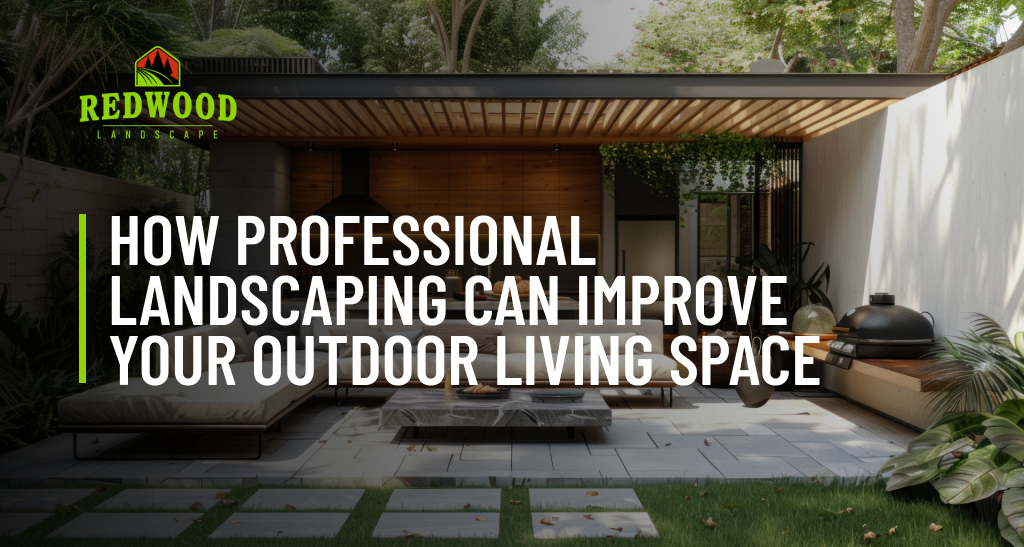 How professional landscaping can improve your outdoor living space