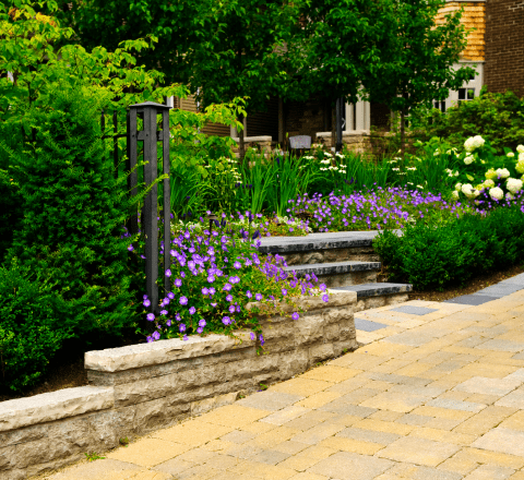 A garden with purple flowers and a stone wall