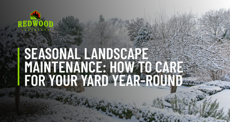 A snowy landscape with the words `` seasonal landscape maintenance : how to care for your yard year-round ''