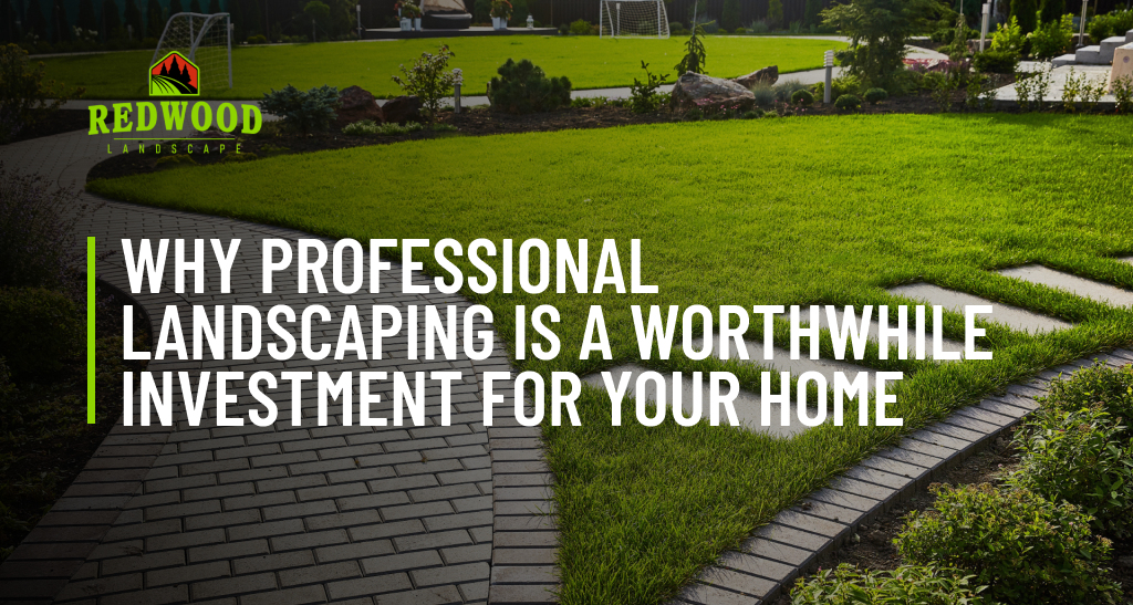 Why professional landscaping is a worthwhile investment for your home