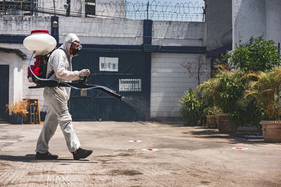 Fumigación para controlar plagas