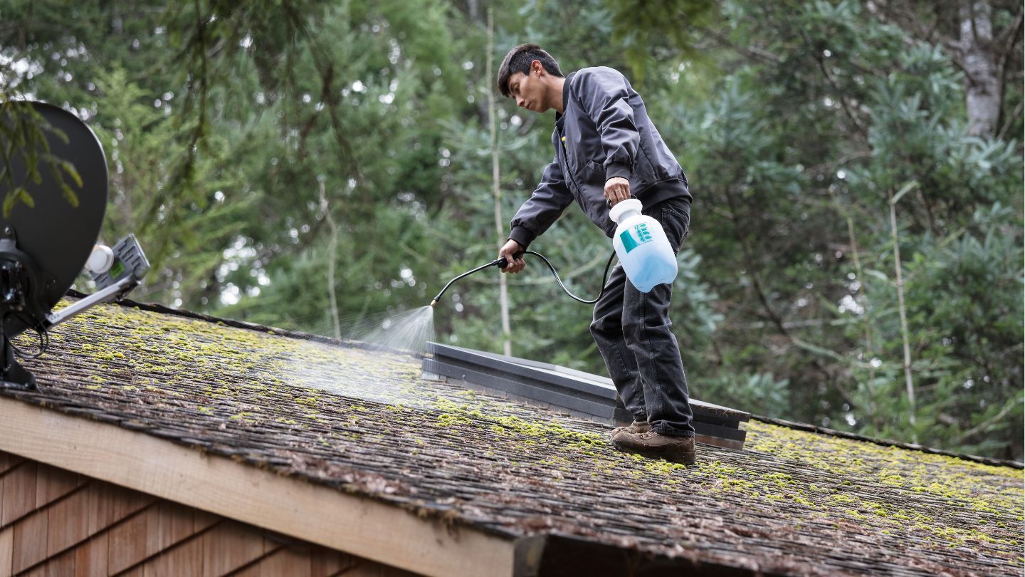Man spraying a roof with moss, in a forest setting, wearing dark clothing.