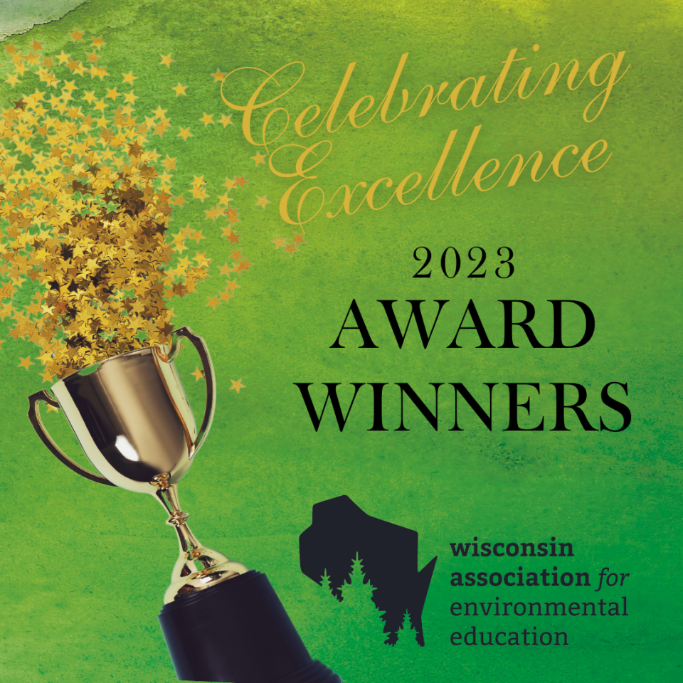 Celebrating Excellence 2023 Awards promotional image
