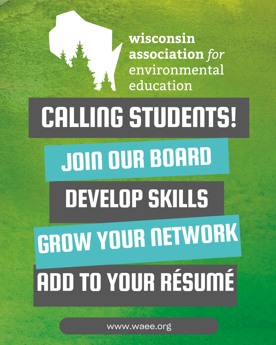 A recruitment flyer for the Wisconsin Association for Environmental Education inviting students to join their board.