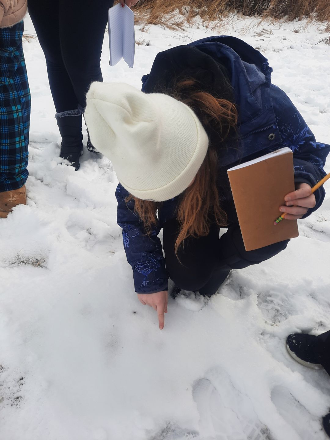 Person in white hat points at something in snow, holding notebook and pencil. Other people and bare land visible.