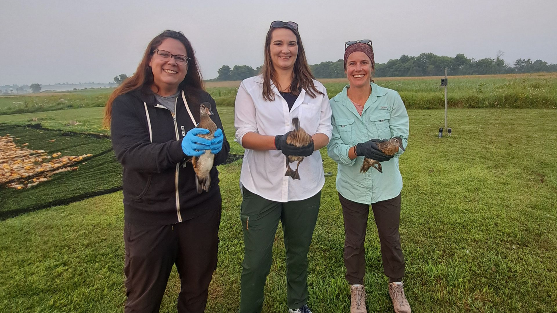 Three women holding birds in a grassy field, smiling. Cloudy sky and farm in the background.