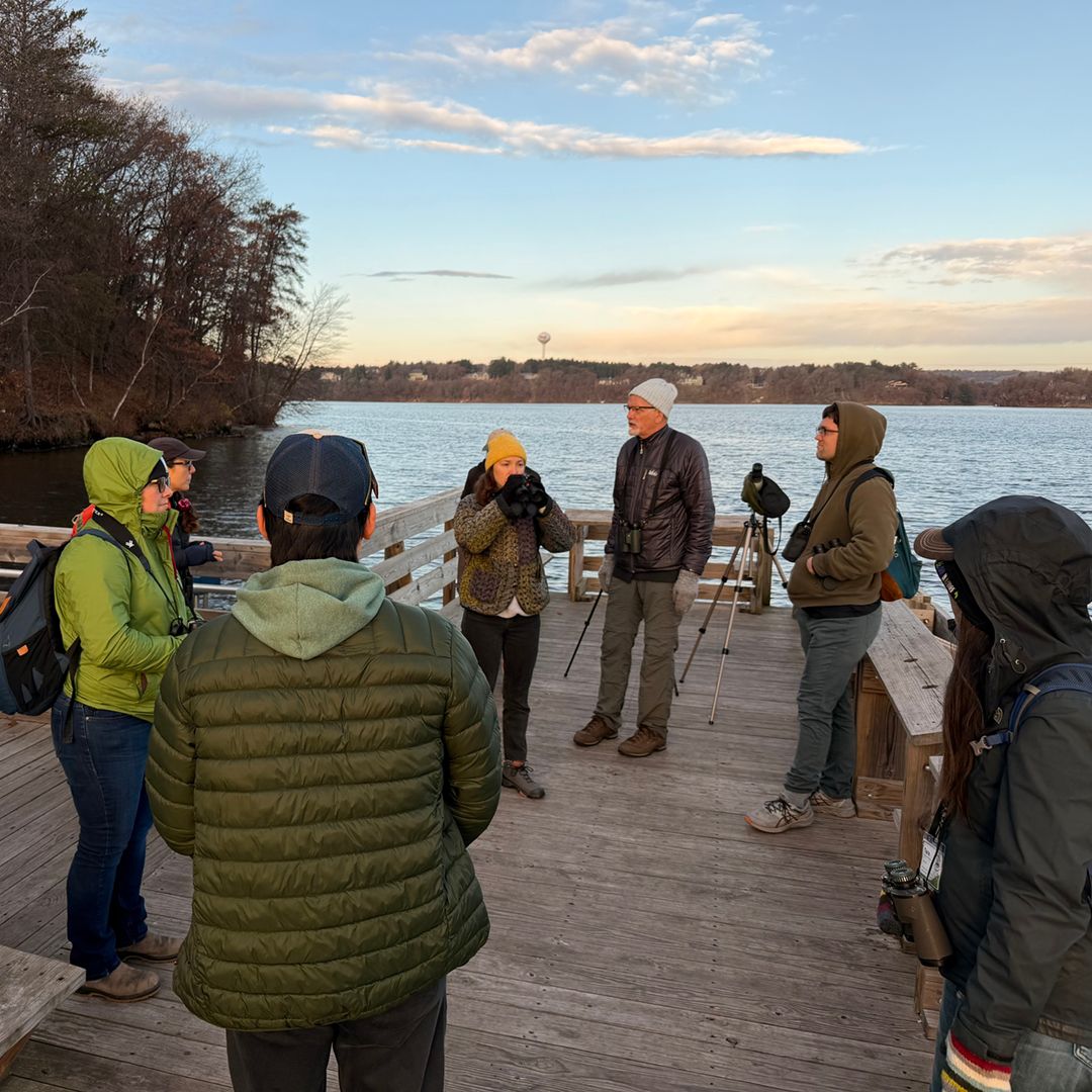 Group in winter jackets talking on a wooden dock by icy water at sunset.