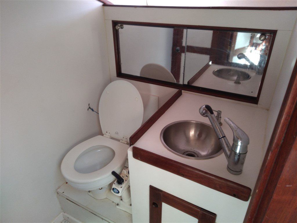 Morgan Out Island 41 forward head