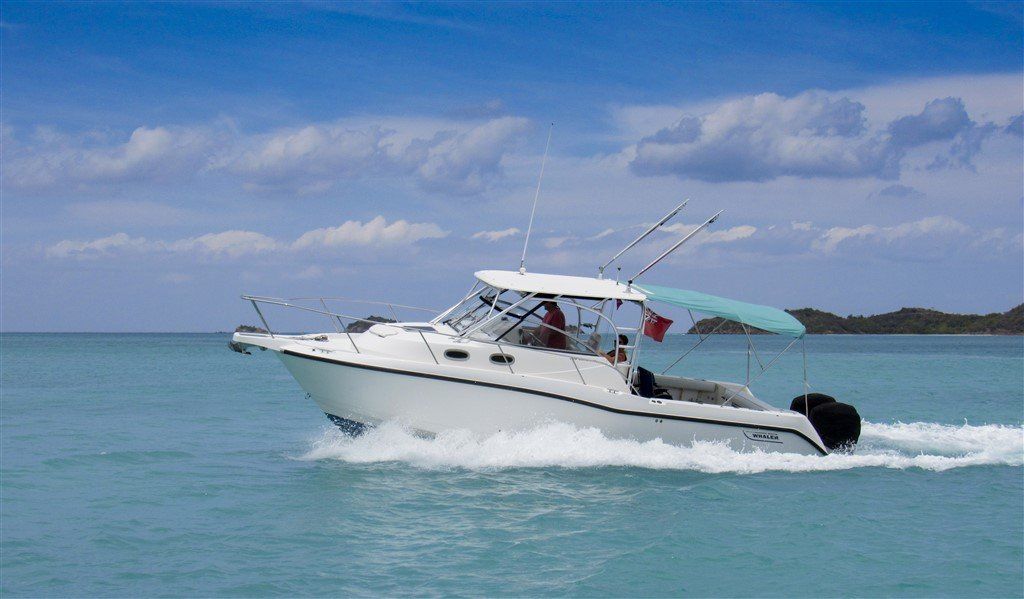 2006 Boston Whaler under way