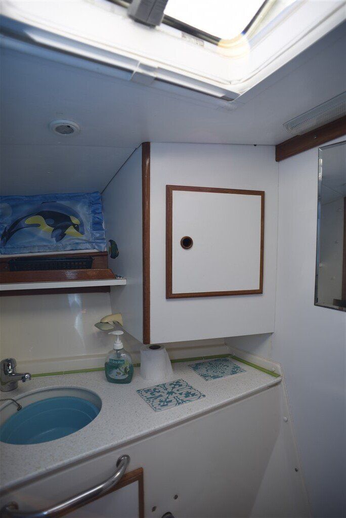 Warrior 40 forward head