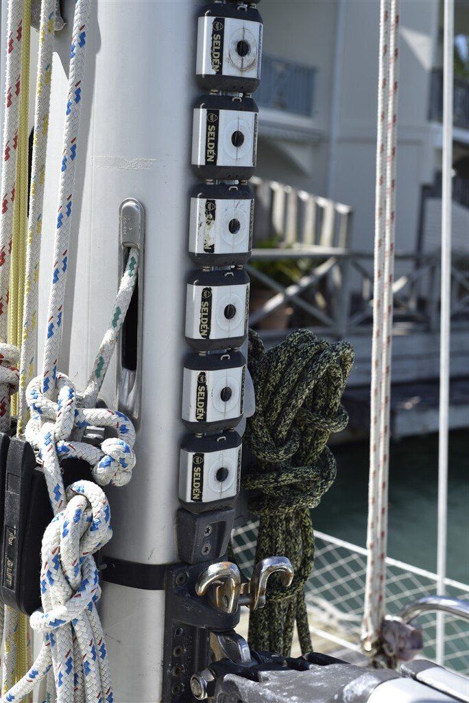 Warrior 40 Selden cars