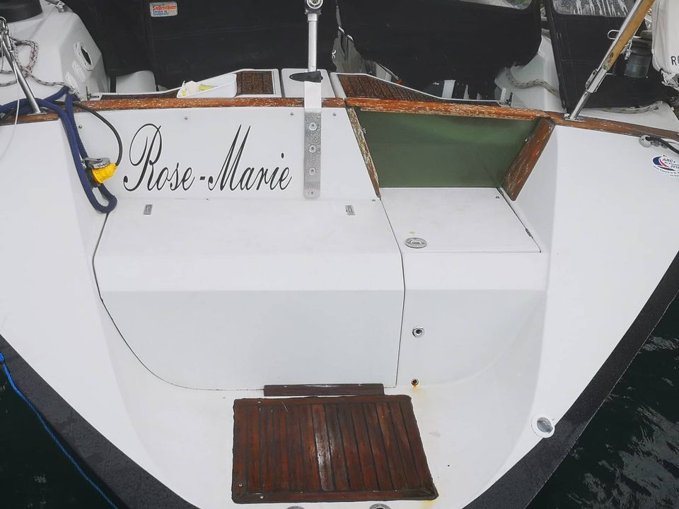 Feeling 486 sugar scoop