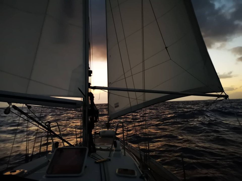 Feeling 486 goose winging