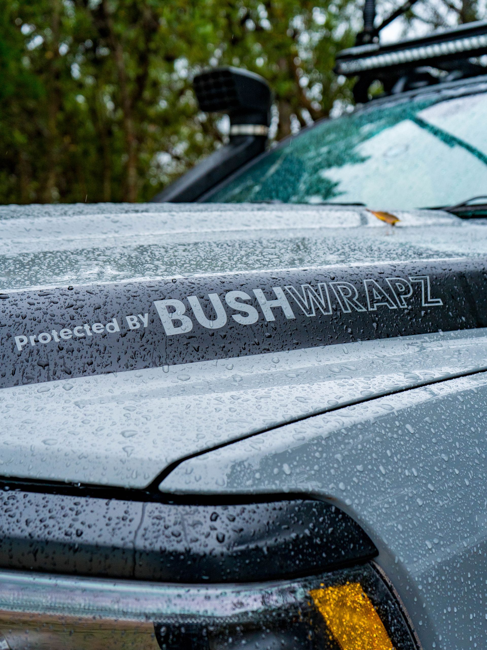 Grey truck hood with