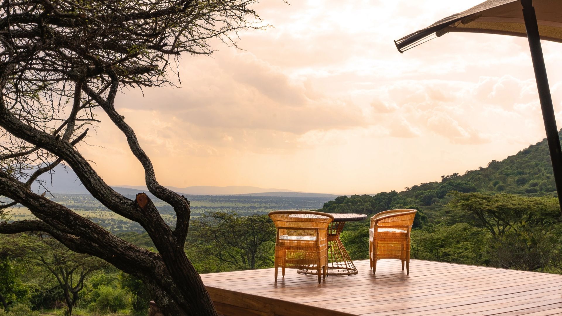 A table and chairs on a wooden deck overlooking a lush green forest.