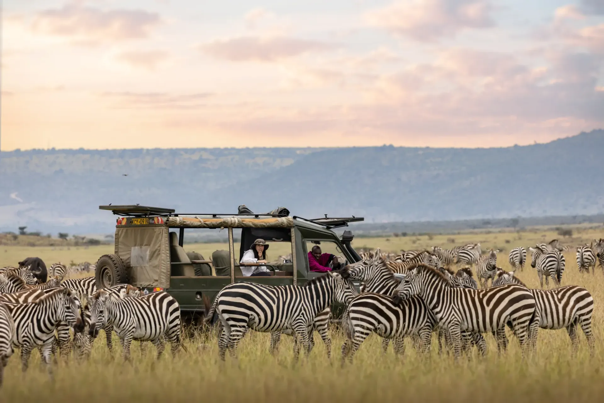 Safari jeep with people surrounded by zebras on the African savanna.