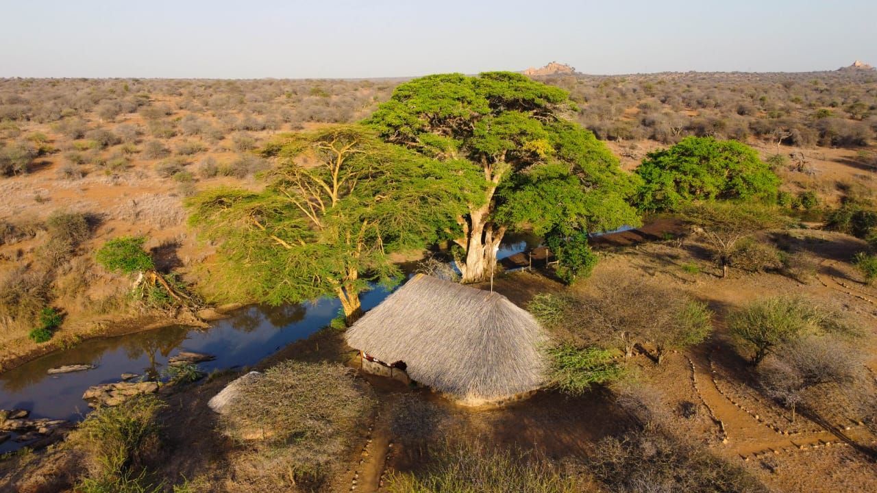 A hut with a thatched roof sits under a large tree near a river in a dry, savanna landscape.