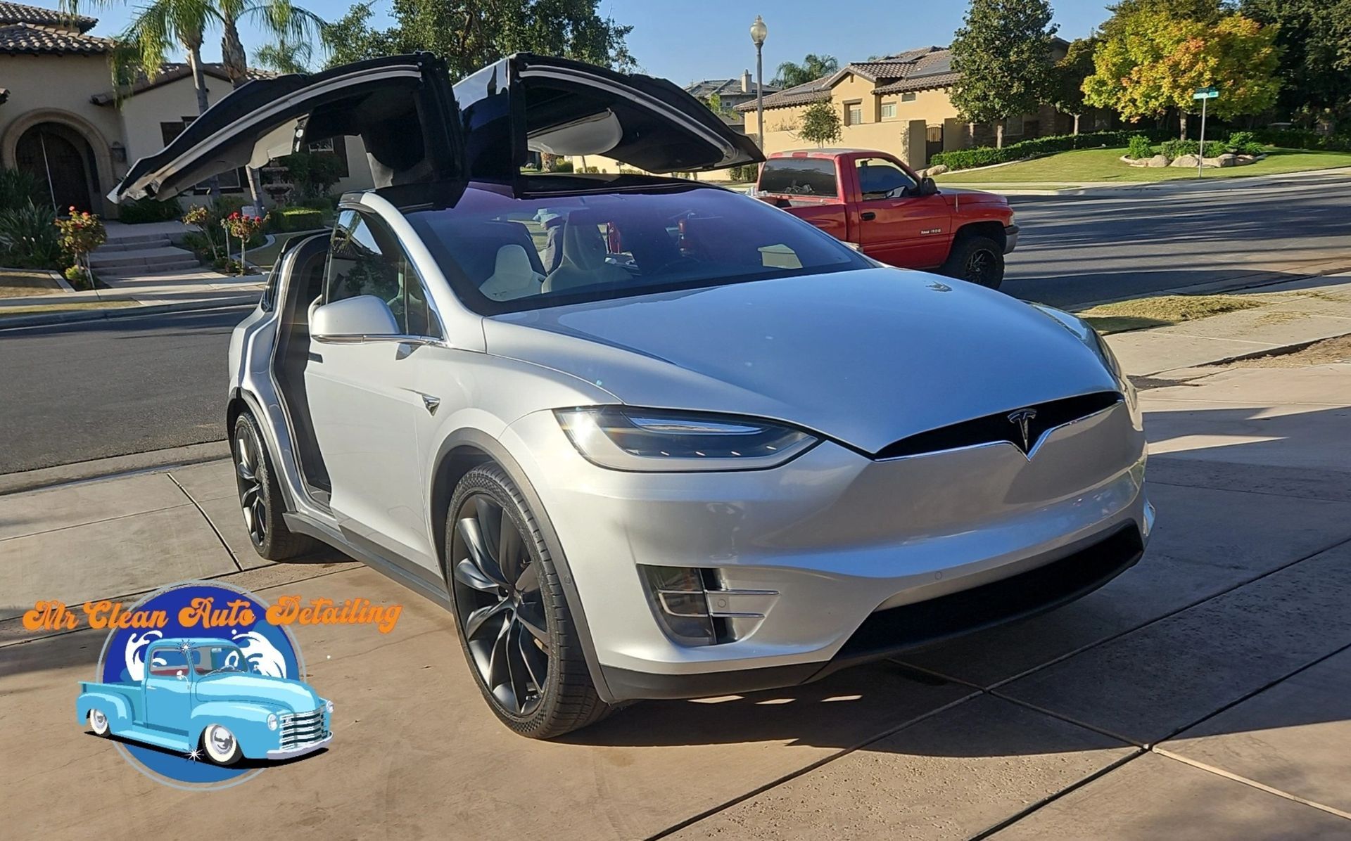 A silver tesla model x is parked in a driveway