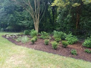 Landscaped garden bed with mulch