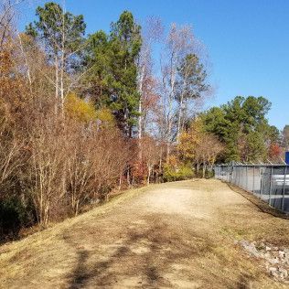 Grassy embankment with trees in autumn colors