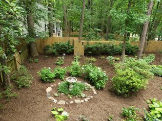 Wooded backyard garden