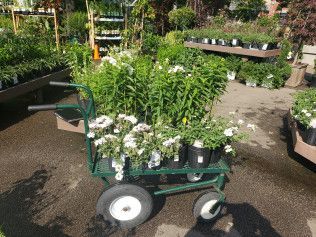 Green garden cart filled with potted plants at a garden center