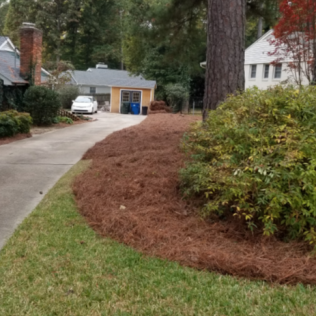 Residential scene with a driveway