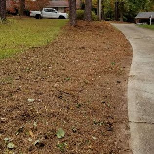 Lawn with brown mulch and green grass