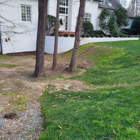 White house exterior with trees