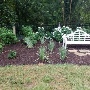 White bench in garden bed with flowering plants and dark mulch
