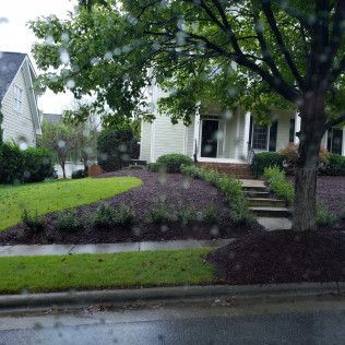 A house with a front yard featuring a tree