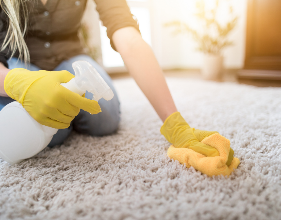 Kingston Carpet Cleaning Deep Steam Cleaning