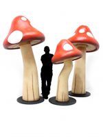Alice in Wonderland mushrooms