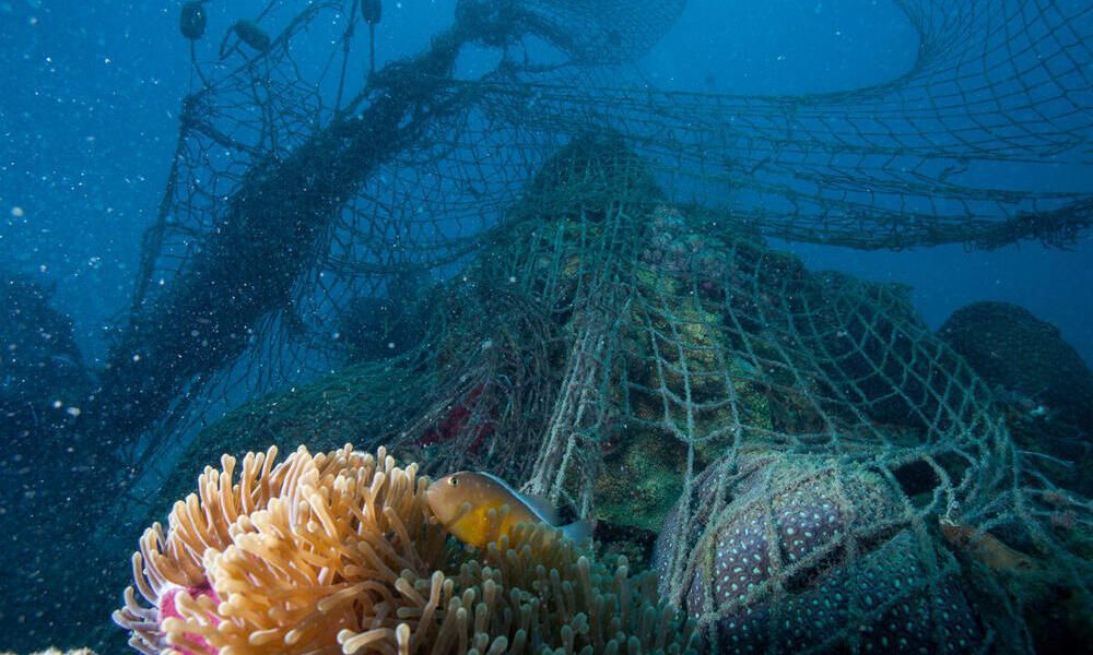 Word Wildlife Fund ghost gear image