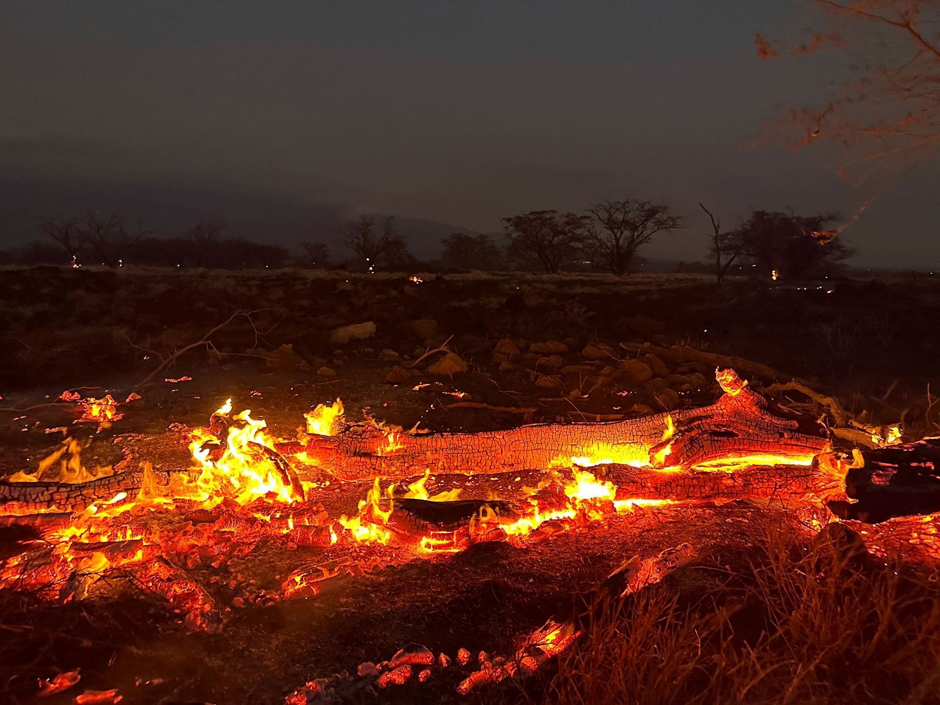 Maui Fire Image