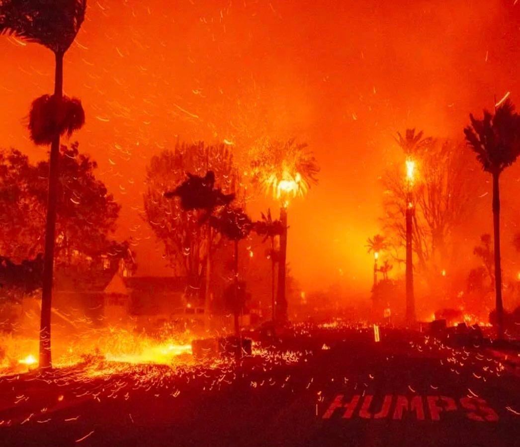 Los Angeles wildfires