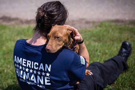 American Humane image