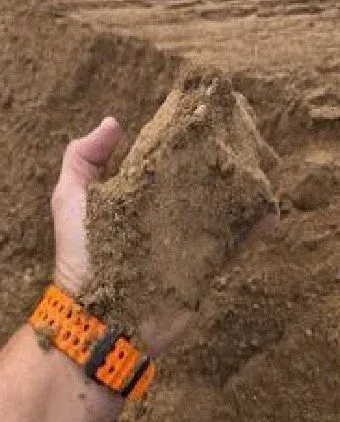 Handful of brown soil being held, with an orange watch on the wrist.