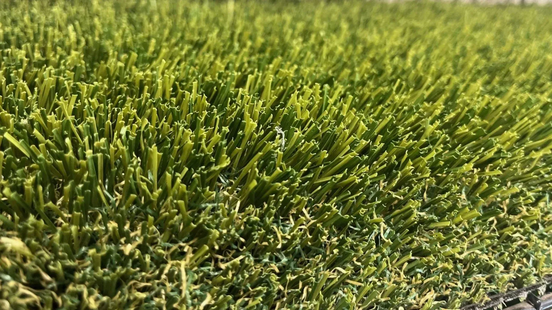 Close-up of green artificial turf, showing individual blades and texture in sunlight.