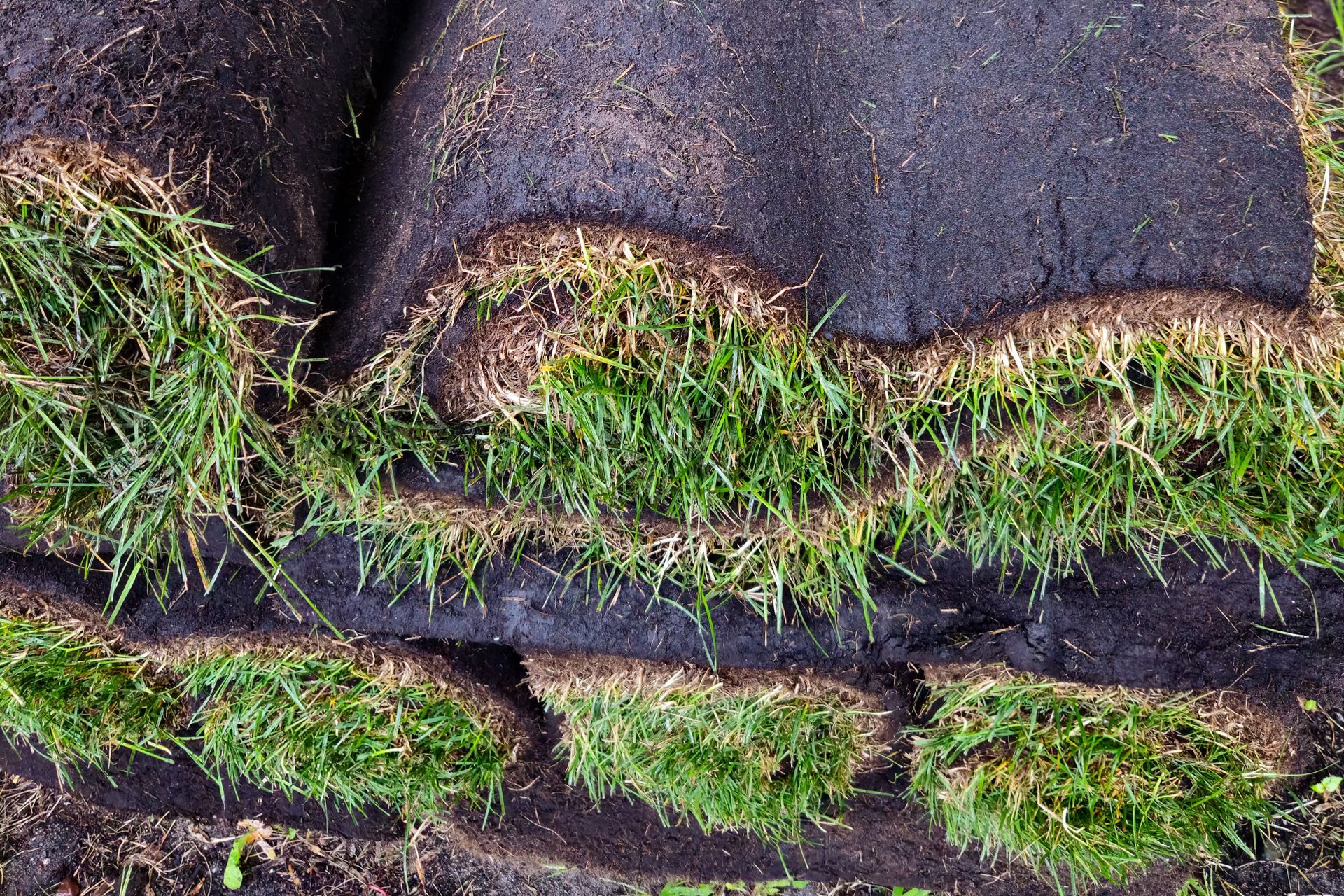 Woman in straw hat smiles, holding wine glass near a lake.