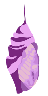 A purple and pink butterfly chrysalis on a white background.