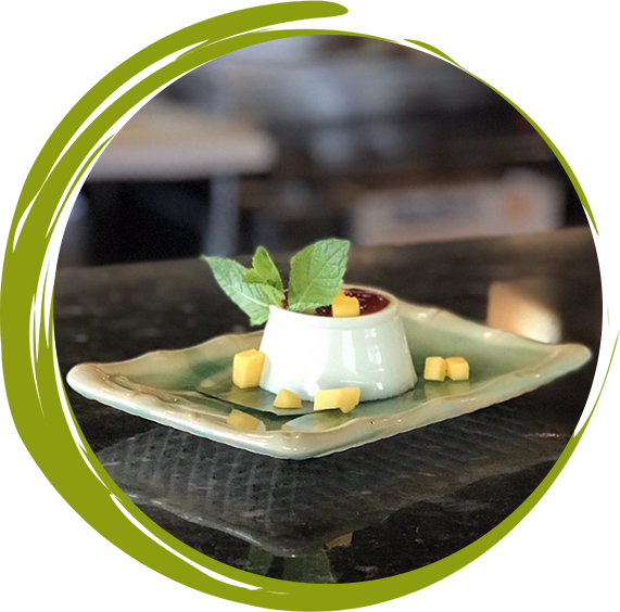 A small bowl of food on a plate with a green circle around it